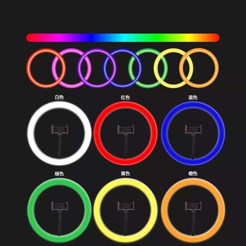 Ring light Arc en Ciel avec Trépied - Anneau Lumineux LED pour Vidéo Maquillage Youtube Tiktok Photo- 10 Pouces